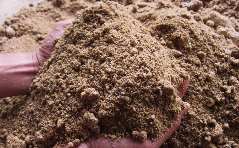 【定期便令和7年産新米予約】関智晴がつくる南魚沼塩沢産コシヒカリ５kg×全12回 減農薬栽培米【2025年9月中旬より順次発送予定】