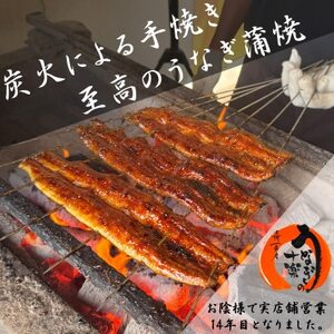 炭火手焼き☆三河一色産うなぎ蒲焼　6尾　うなぎ十楽【配送不可地域：離島】【1585251】