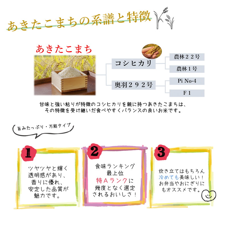 令和7年産 あきたこまち 玄米 30kg 秋田県産 お米 米 ごはん 