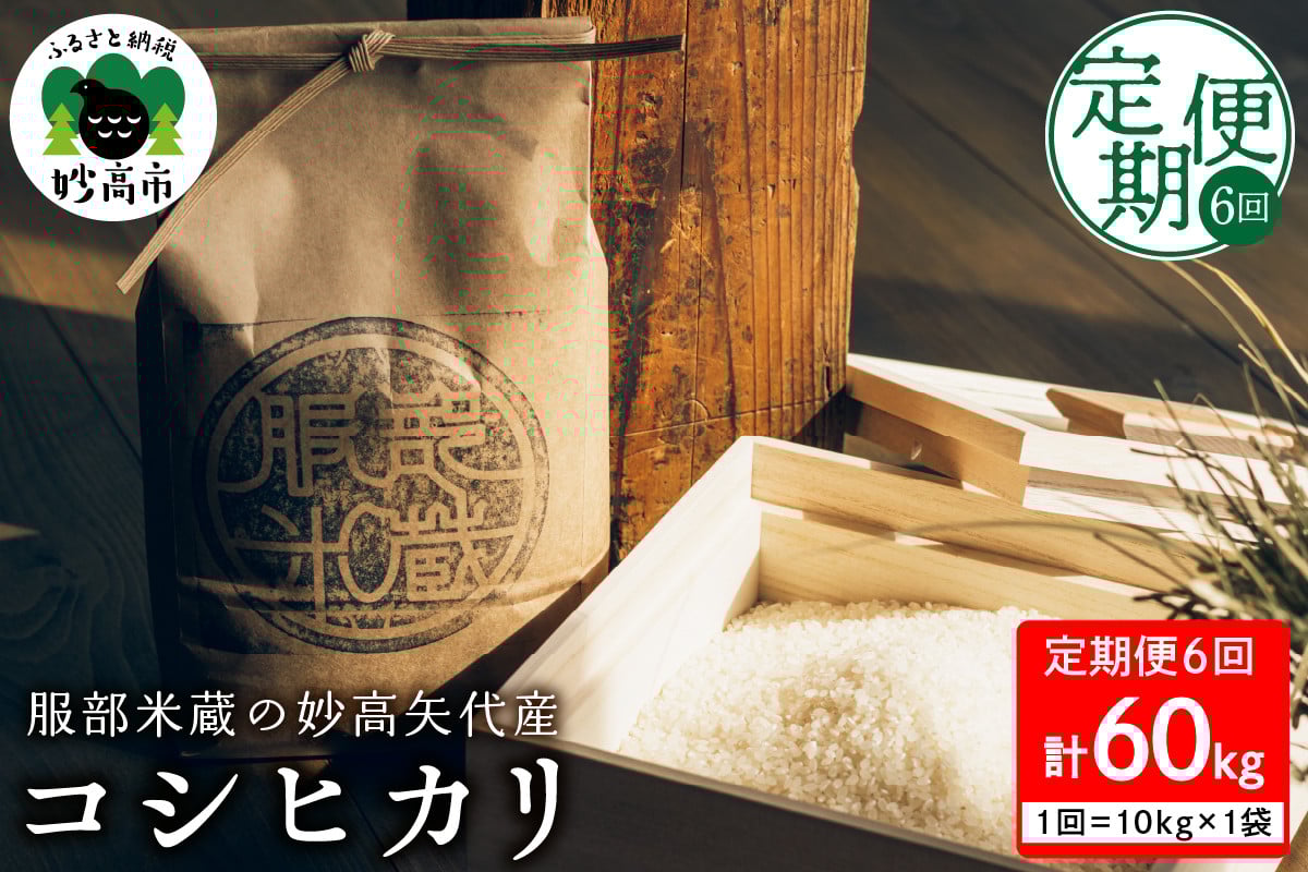
            【10月中旬より発送】【定期便】令和7年産 服部米蔵の妙高矢代産コシヒカリ 10kg×6回（計60kg）
          