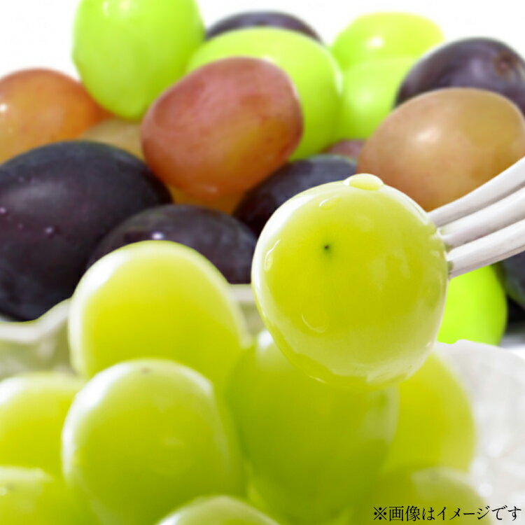 【ふるさと納税】【期間限定発送】 ぶどう 食べ比べ 粒 500g 2パック 約 1kg 大粒 [tk06ayt250006 山形県 高畠町 oboco grapes] シャインマスカット ピオーネ フルーツ 果物 くだもの ぶどう ブドウ 葡萄 1キロ 甘い
