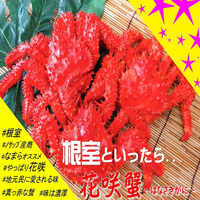 【ふるさと納税】 [北海道根室産] 花咲がに 5 ~ 6 尾 ( 計 4.5kg 以上 ) 花咲ガニ 花咲 花咲かに 花咲蟹 かに カニ 蟹 お取り寄せ グルメ 海鮮 ボイル 茹で蟹 茹でがに 茹でガニ 北海道 根室市 ふるさと納税 E-59001