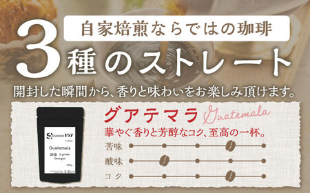 自家焙煎レギュラー珈琲 200g×３種セット コーヒー 焙煎【スペース・ほっと】[AKFD001]