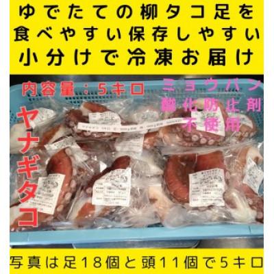 ふるさと納税 白老町 浜ゆでたこ 計5000g 北海道白老町産