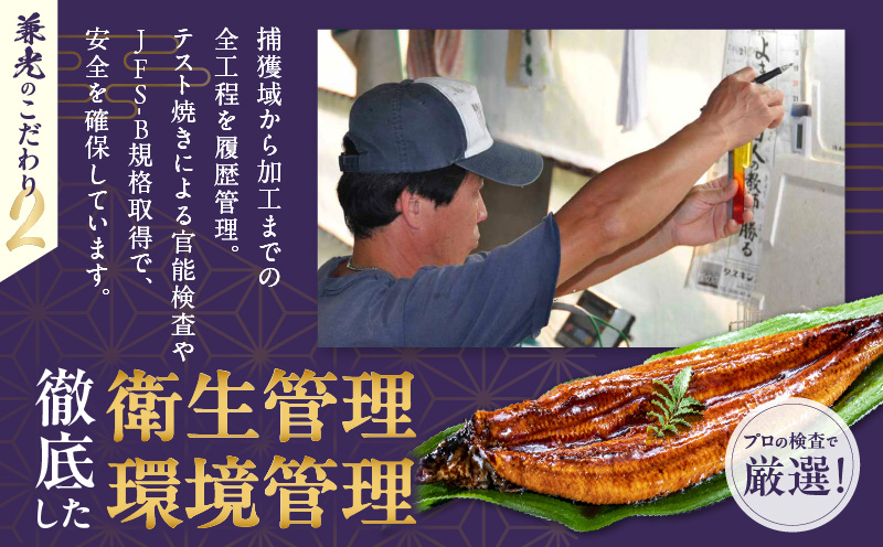 愛知県三河一色産うなぎ蒲焼き4尾+きざみうなぎ2食入り×2パック　セット(長焼き4尾で500g+きざみうなぎ(50g×2食)×2パック)・U024-240