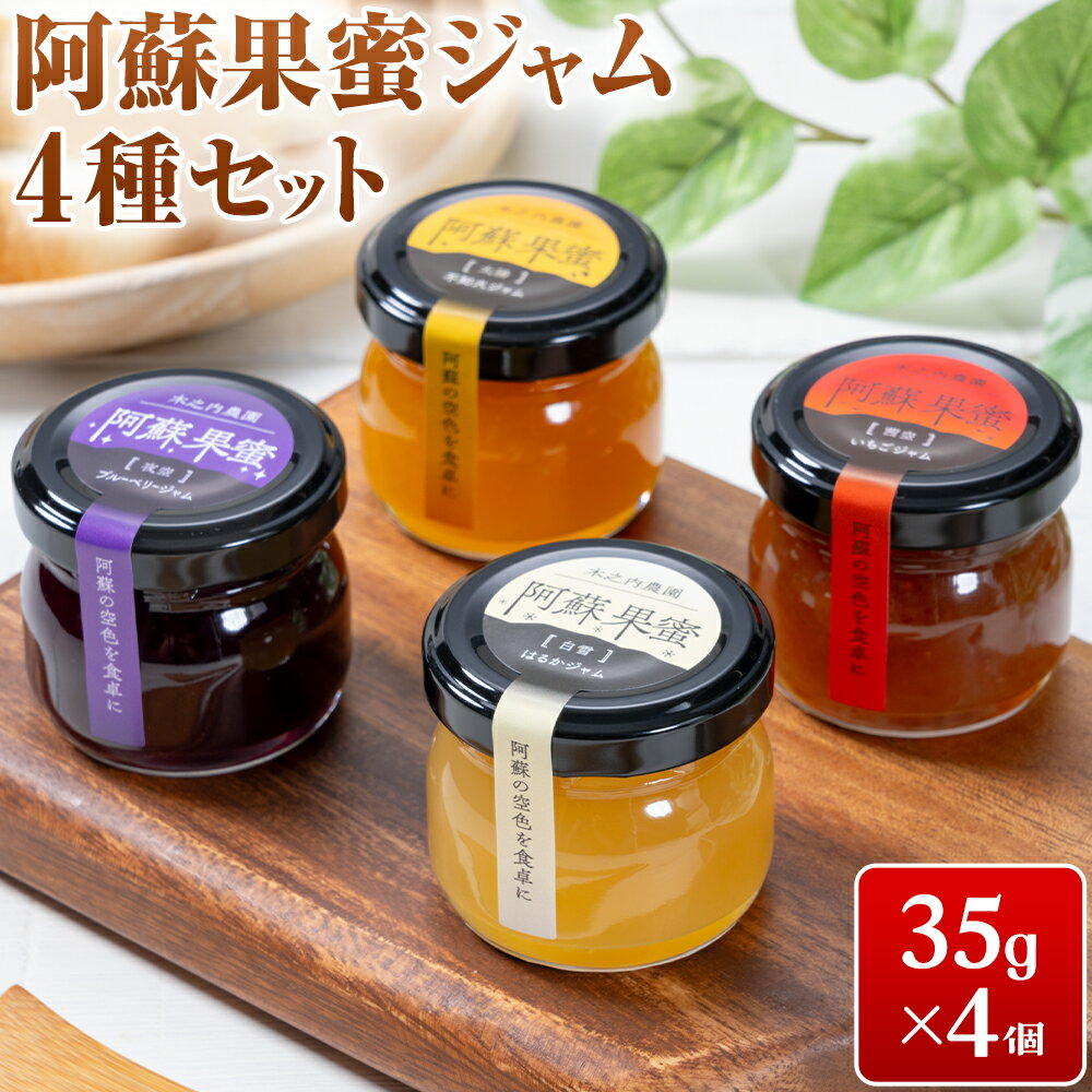 【ふるさと納税】阿蘇果蜜ジャム4種セット 35g×4本 木之内農園 ジャム《30日以内に出荷予定(土日祝を除く)》 熊本県南阿蘇村 ジャム いちご ブルーベリー はるか 不知火 苺 大粒 乗せるジャム