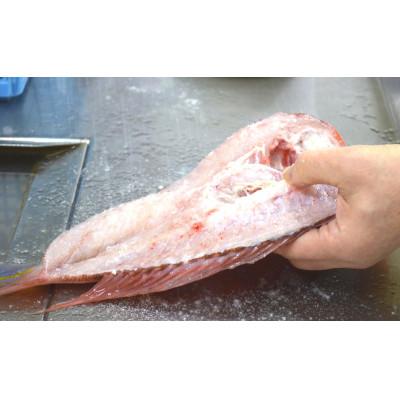 ふるさと納税 小浜市 汐で締めて旨味が凝縮した時に瞬間凍結・これぞ若狭物の代名詞・大型若狭グジの一塩一尾姿のまま |  | 01