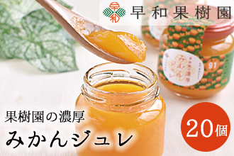 954.【早和果樹園】濃厚みかんジュレ（12個入）（A954-2）