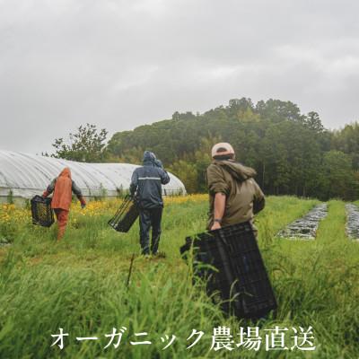 ふるさと納税 掛川市 【毎月定期便】しあわせ野菜畑のシェフS セット　(訳あり規格外の有機野菜を一部使用)全3回 |  | 01