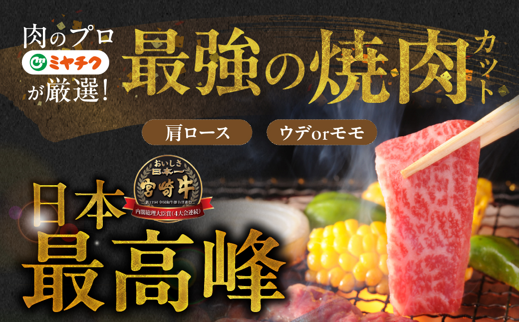 畜産農家応援! 宮崎牛焼肉2種セット500g×4パック+豚肉ハンバーグ100g×4個≪みやこんじょ快速便≫_32-N202-R-ESH