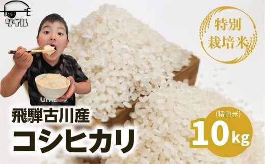 《先行予約》令和8年産 飛騨産 特別栽培米 こしひかり 白米 10kg コシヒカリ 新米 お米 米 精米 ごはん ご飯 特A 単一原料米 米 単品 10キロ ソイル 飛騨市 40000円 4万円