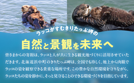 ラッコを見守る岬「きりたっぷ岬」周辺の環境整備　2000円分 返礼品なし_H0028-008