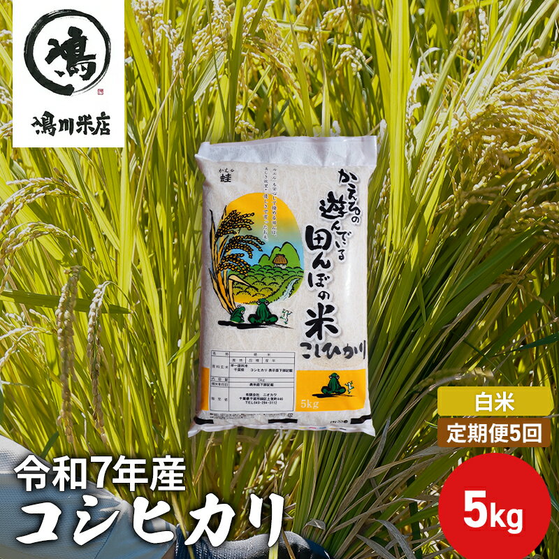【ふるさと納税】【定期5ヶ月】コシヒカリ　白米　5kg　令和7年産 お米 銘柄米 ご飯 おにぎり お弁当 和食 食卓 精米 国産 千葉県産 産地直送