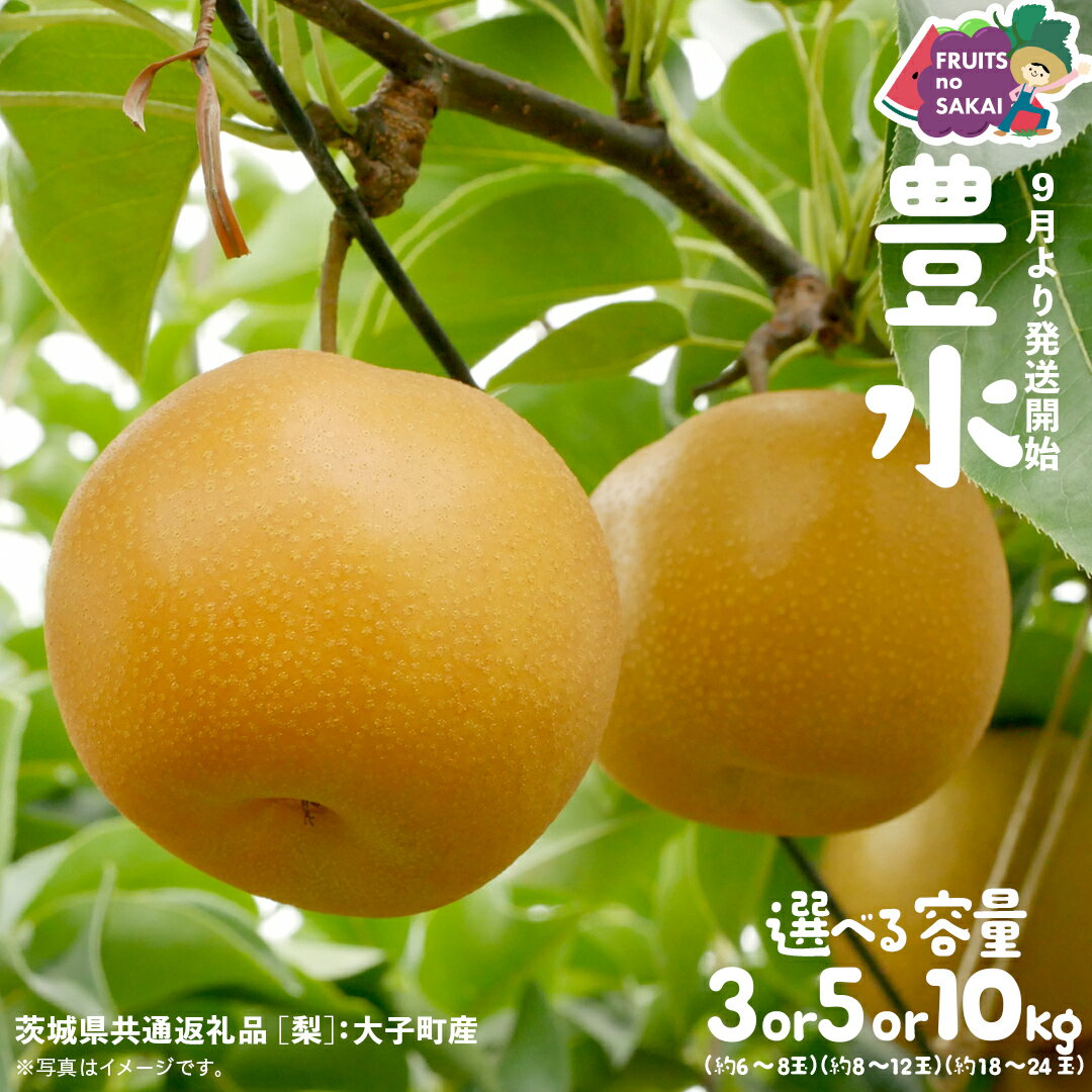 【ふるさと納税】＼ 選べる内容量 ／ 豊水 梨 3kg （6～8玉）/ 5kg （8～12玉）/ 10kg （18～24玉）【2026年9月より発送開始】（茨城県共通返礼品 [梨]：大子町産） なし 旬 お取り寄せ フルーツ 甘い ジューシー 和梨 時期
