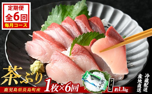 
                  茶ぶりフィレ定期便 毎月 (全6回)  国産 鹿児島県産 ブリ 茶ぶり 鰤 海鮮 海産物 フィレ 魚介 魚 刺身 海鮮丼 産地直送 定期【ウスイ】usui-1603A
                