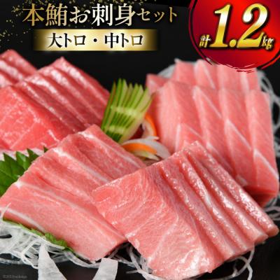ふるさと納税 気仙沼市 【高級旅館御用達】 本鮪 お刺身セット 大トロ 800g 中トロ 400g 20563969 ◎