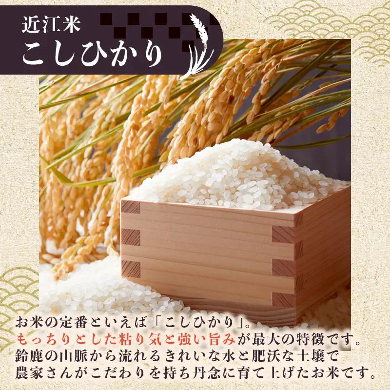 【先行受付】 新米 こしひかり 白米 10kg 令和8年産 近江米 令和8年 ご飯 コシヒカリ 先行予約