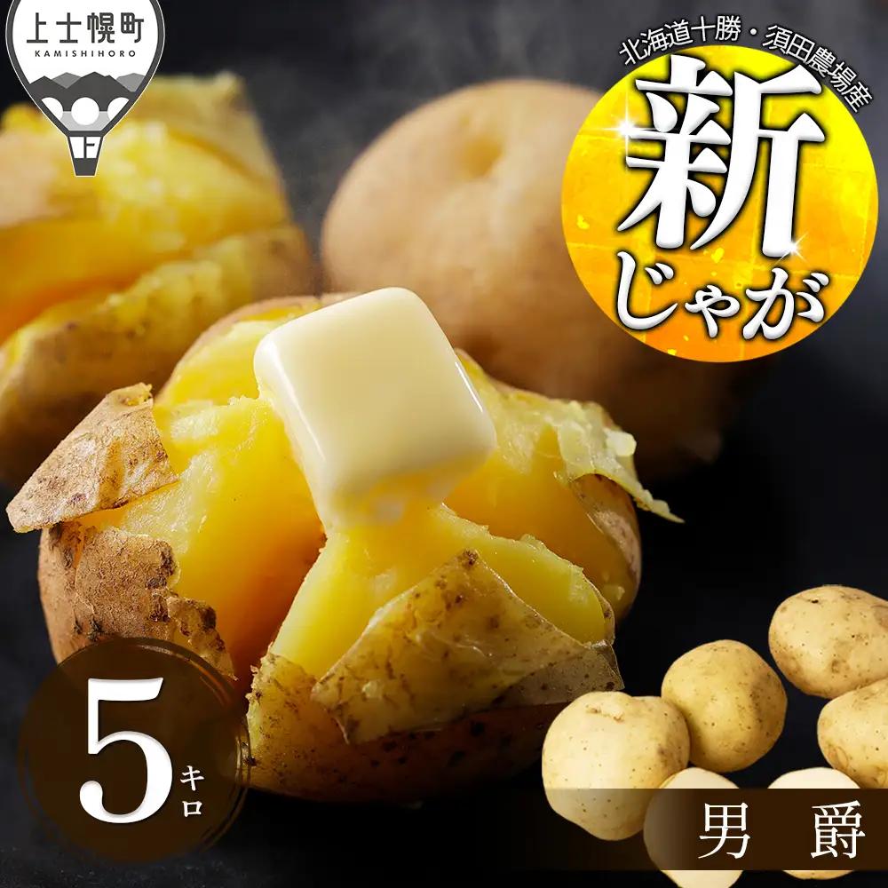 2026年産 北海道産 新じゃが じゃがいも 男爵 5kg 北海道 上士幌町 須田農場 野菜 ジャガイモ 馬鈴薯 産地直送 ◆2026年9月中旬発送開始予定