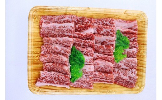 【A5ランク】博多和牛焼肉用(バラ）500g[H2165]