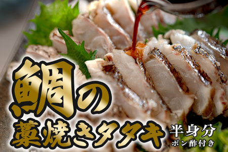 鯛の藁焼きタタキ 半身分 230g以上 真鯛 鯛 タイ 刺身 ぽん酢付 配達日指定可 高知県大月町