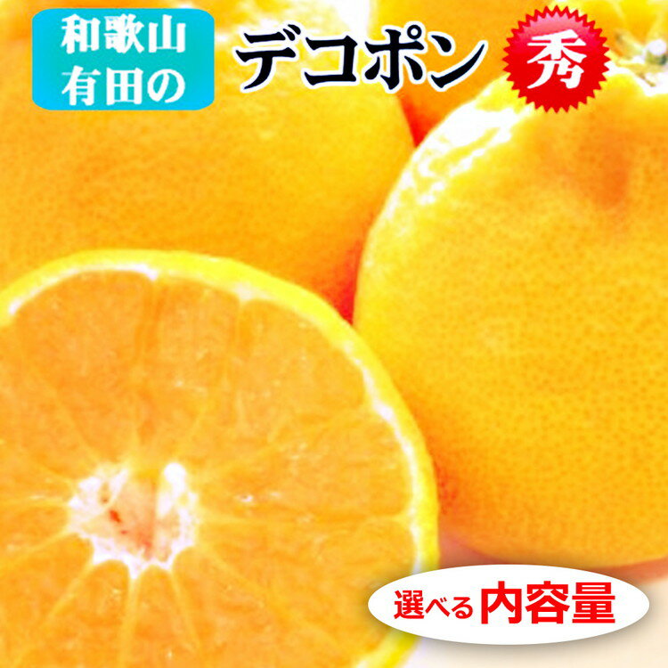 【ふるさと納税】＼選べる内容量／【先行予約】【秀品】デコポン 和歌山有田 約2.5kg ・ 約5kg