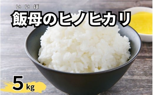 飯母のひかり 5kg 白米 米 精米 マルナカ 飯母米  AS-7113