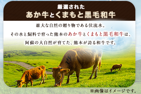熊本県産 あか牛 くまもと黒毛和牛 もつ鍋セット こだわり和風仕立て 肉のみやべ 《120日以内に出荷予定(土日祝除く)》 熊本県 御船町