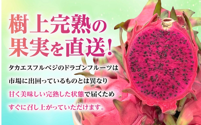フルーツ ふるーつ Fruit 赤 果肉 レッド ピタヤ 青果 果実 国産 産地直送 小玉 果物 火龍果 トロピカル くだもの
