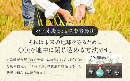 【令和7年産】つや姫 5kg×1 CO2削減 環境配慮米｜7年産米 つや姫 ブランド米 銘柄米 SDG’s 宮城県角田市産 米 コメ 白米 精米