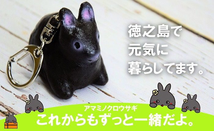 
            1823「これからもずっと一緒だよ」アマミノクロウサギオリジナルキーホルダー
          
