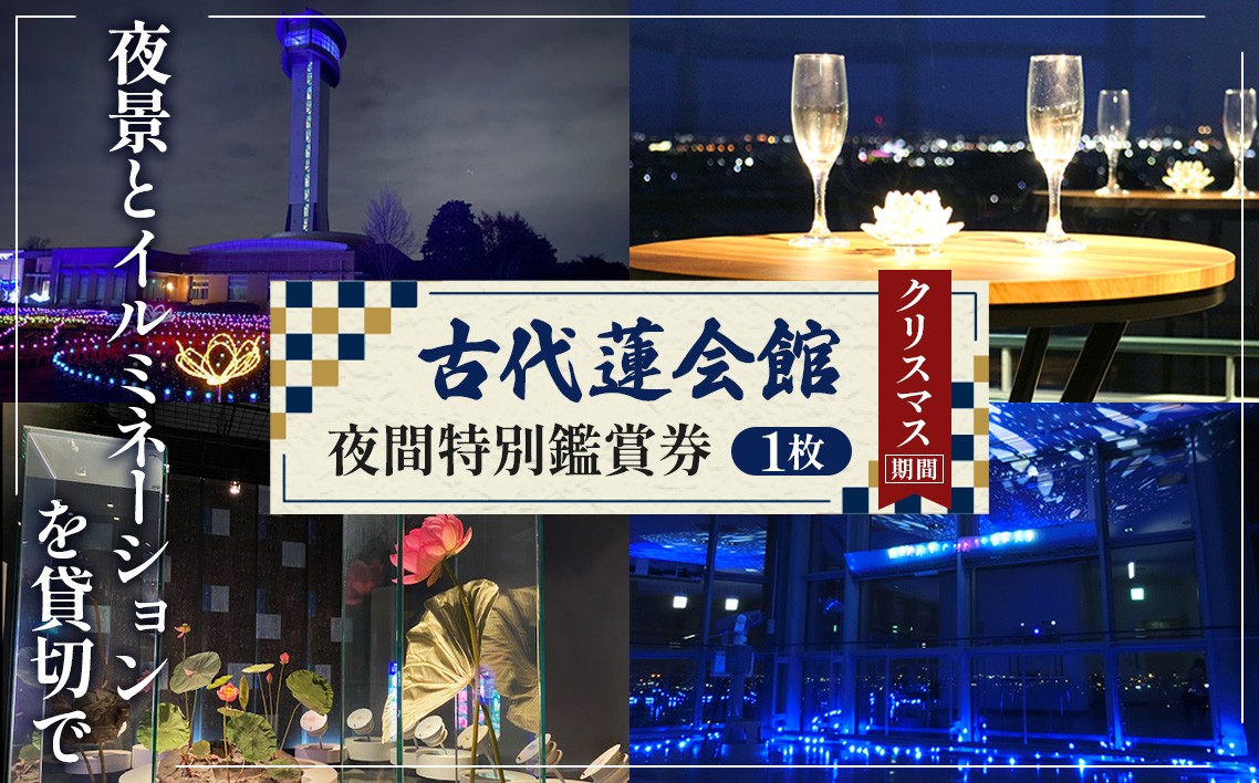 
No.339 古代蓮会館・夜間特別鑑賞券（プレミアム）～夜景とイルミを貸切で！～ ／ チケット クリスマス 見学 埼玉県
