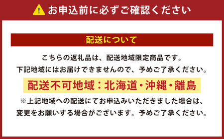 【オレンジ】正方形低反発チェアパッド 2枚セット ｜ チェアパッド パッド 低反発 椅子 ソファー フローリング 床 家庭 仕事