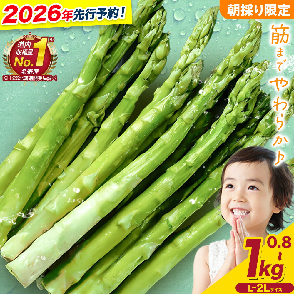 【ふるさと納税】朝採りアスパラガス 選べる Lサイズ(800g) または Lサイズ(1kg) または 2Lサイズ(800g) 《2026年5月中旬-5月下旬頃出荷予定》北海道 名寄市 送料無料 朝採り 新鮮 アスパラ