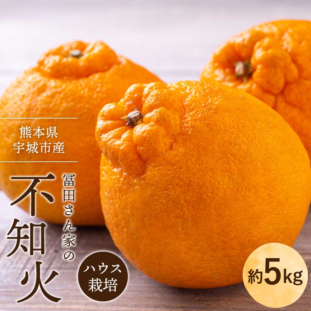 【ふるさと納税】不知火 先行予約 冨田さん家の不知火 ハウス栽培 5kg しらぬい みかん 蜜柑 柑橘 常温 訳あり 家庭用 不揃い デコなし 傷あり B級品 SDGs 熊本県産 国産 九州 熊本県 宇城市 先行予約 2026年1月中旬-1月下旬発送予定