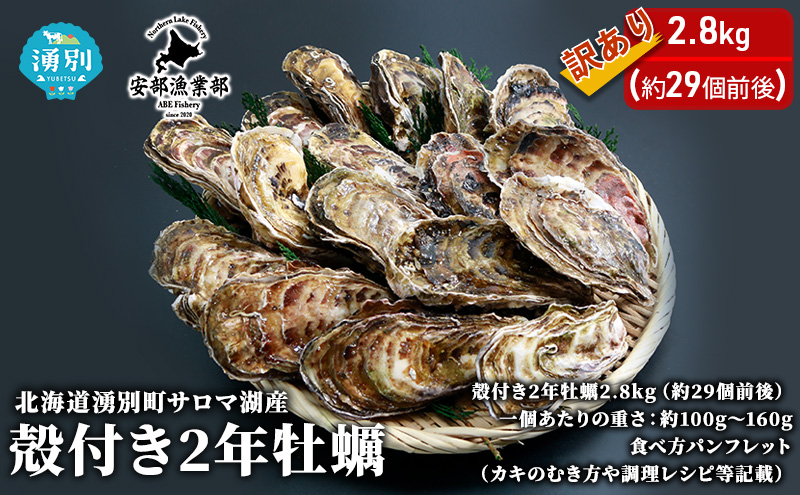 訳あり北海道 湧別町 サロマ湖産 殻付き 2年 牡蠣 2.8kg（約29個前後） かき カキ 魚介 国産 貝付き 生食 焼き牡蠣 蒸し牡蠣 冷蔵 魚貝類 生牡蠣 海の幸 海鮮 殻付き牡蠣 オイスター