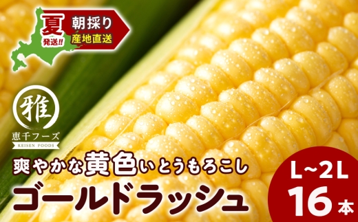【2027年夏発送】 とうもろこし ゴールドラッシュ L～2L 16本
