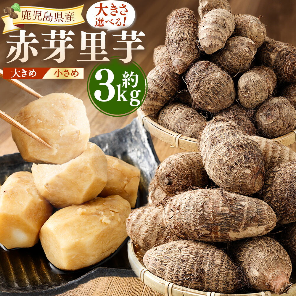 【ふるさと納税】 赤芽里芋 約3kg 鹿児島県産 ねっとり濃厚 上品な旨味 【選べるサイズ】(大きめ/小さめ) さといも 赤芽 里芋 根菜 野菜 やさい ヤサイ 国産 鹿児島県 薩摩川内市 送料無料 【2027年1月中旬～3月中旬発送予定】