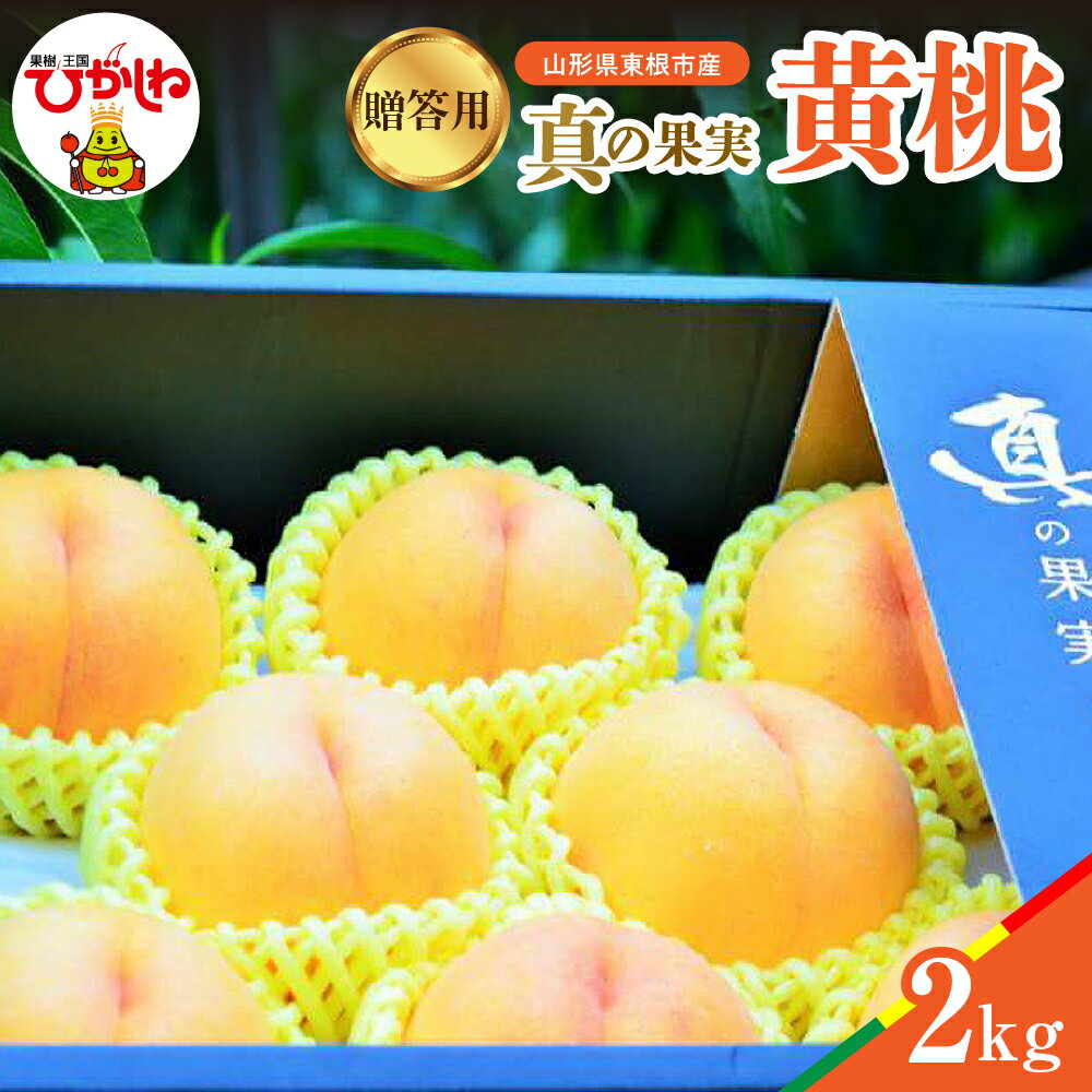 【ふるさと納税】2025年産 先行予約 真の果実 黄桃 2kg 贈答用 / 桃 もも モモ ピーチ おうとう フルーツ 果物 くだもの 箱入り 化粧箱 化粧箱入り 農家直送 産地直送 お取り寄せ グルメ ご当地 特産 産地 直送 詰め合わせ セット 北海道 東根市