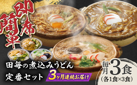 うどん 【3回定期便】田毎の煮込みうどん定番セット [ANFP010] うどん