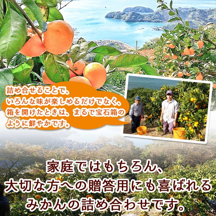 ＜愛媛県明浜町産 旬の柑橘 宝石箱 約7kg＞温州みかん ポンカン 伊予柑 はるか 紅ハッサク ネーブル せとか 不知火 清見 紅甘夏 ブラッドオレンジ 愛媛県 西予市	