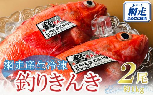 
網走産生冷凍釣きんき【2尾で約1kg】【 ふるさと納税 人気 おすすめ ランキング きんき キンキ 釣りキンキ 釣りきんき 釣キンキ 釣きんき 喜知次 めんめ メンメ お祝い ギフト お歳暮 セット 冷凍 海鮮 新鮮 オホーツク 北海道 網走市 送料無料 】 ABAO073
