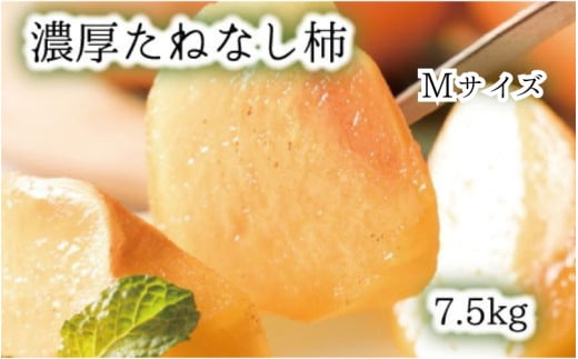【和歌山ブランド】 濃厚たねなし柿　秀品　Mサイズ　約7.5kg入り ※2025年10月上旬頃～11月上旬頃次発送予定 / 種なし 種無し タネなし 柿 フルーツ 果物 人気 旬【ard011C】