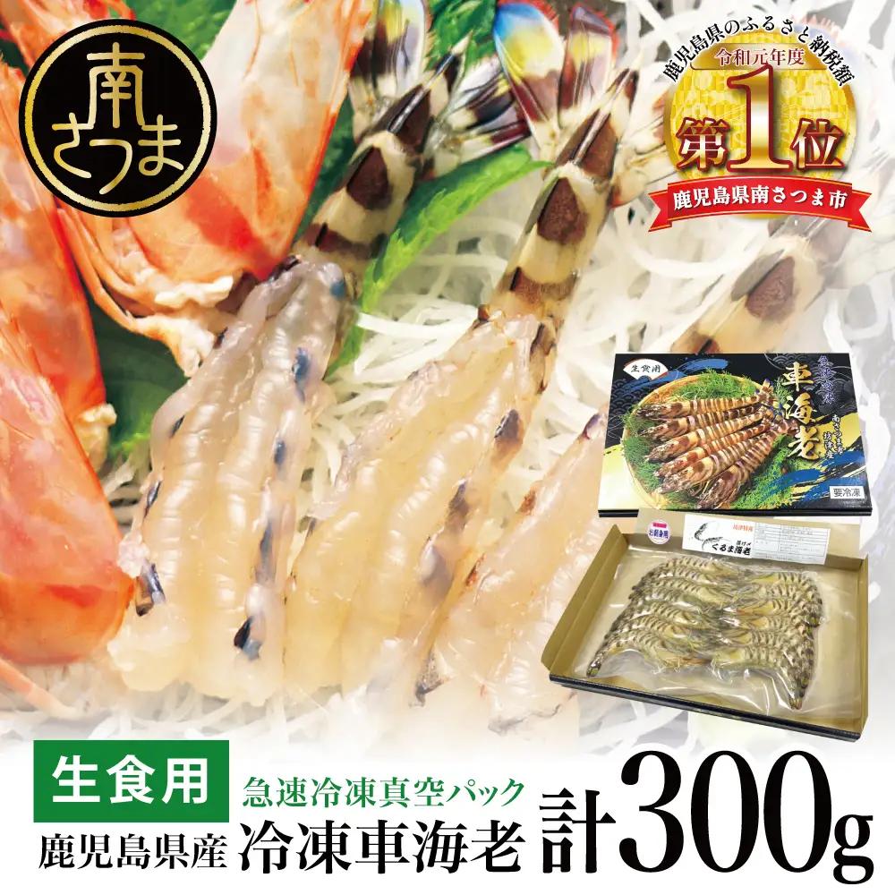 【鹿児島県産】活〆 冷凍車海老 300g（生食用） えび クルマエビ 車えび 海鮮 海産物 刺身 寿司 天ぷら 塩焼き エビフライ 急速冷凍 冷凍 鹿児島 坊津 南さつま市 博多浦マリンファーム