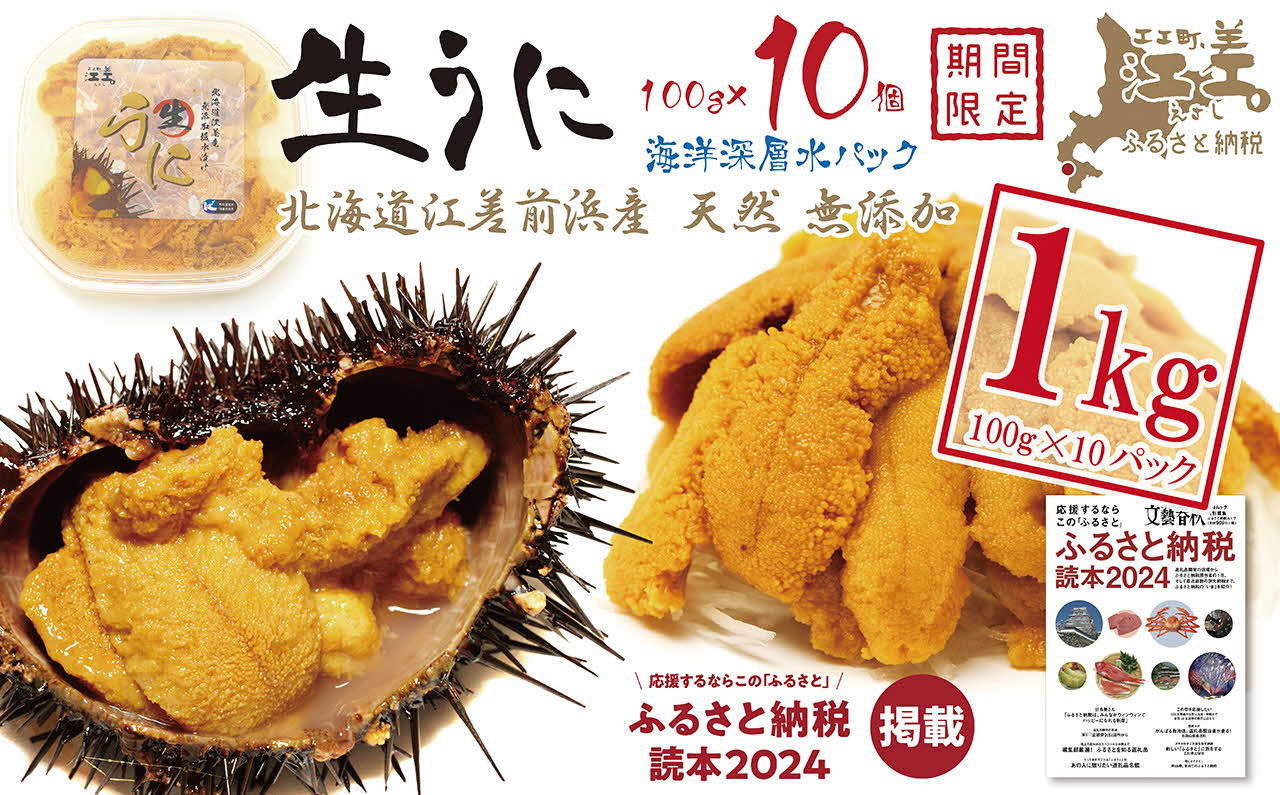 
            【漁があり次第順次発送】北海道 江差前浜産 生うに たっぷり 1kg（100g×10パック）【無添加・みょうばん不使用】江差産天然キタムラサキウニ　日本海熊石産海洋深層水　塩水ウニ　素材を生かした自然の味　国産うに　雲丹　100グラムパック個包装
          