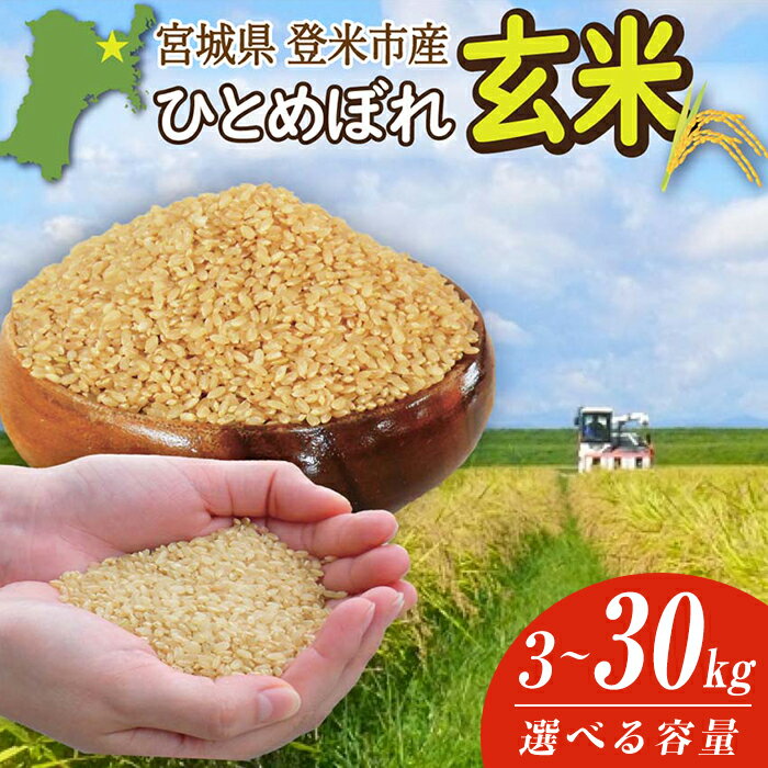 【ふるさと納税】≪令和7年産≫ 宮城県登米市産 ひとめぼれ 玄米 3kg〜30kg 選べる容量 お米 おこめ 米 白米 コメ ご飯 ごはん おにぎり お弁当 ブランド米 10kg【有限会社伊豆沼農産】tm406・tm408・tm481・tm695