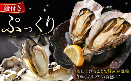 冷凍牡蠣むき身200g・殻付き5個 牡蠣[XBP019]