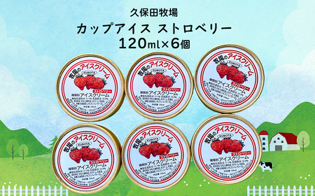 カップアイス　ストロベリー 120ml×6個 NAP012