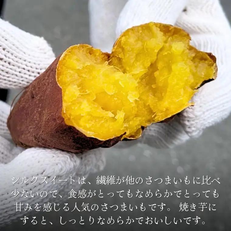 シルクスイート 約5kg (茨城県共通返礼品／行方市) 2025年11月から発送開始 渋谷農園 さつまいも いも 芋 焼き芋 [DT009sa]