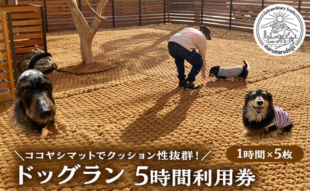 【5時間】ドックラン コイヤーグラウンド ドックラン
