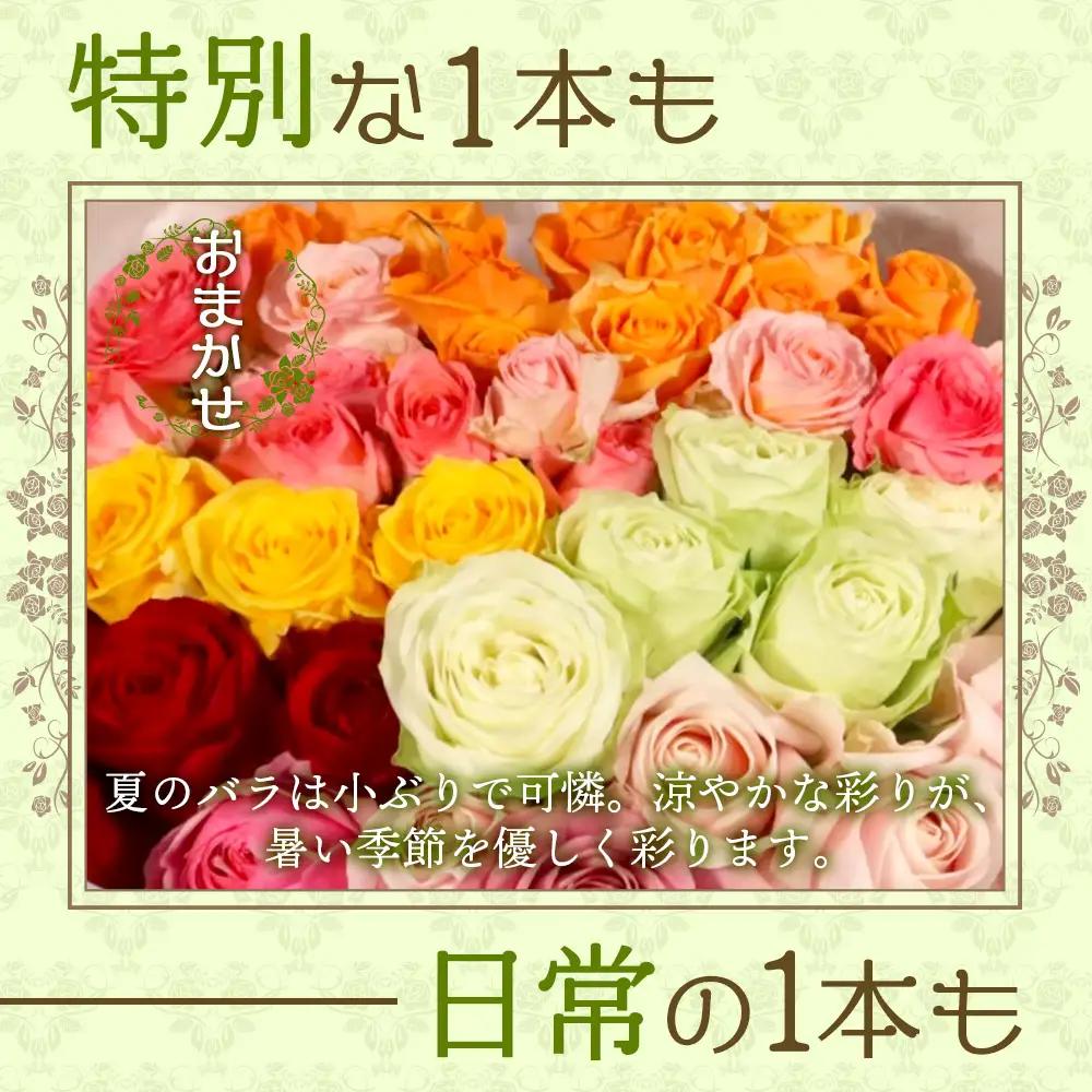 【日付指定必須・ギフト対応可】 夏季限定 ばら農家直送！バラ花束40本以上お届け(色はおまかせ) TB-8│ローズ 新鮮 花 フラワー 花束 ばら 薔薇 バラ 誕生日 記念日 結婚祝い ギフト プレゼ